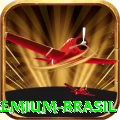 14pg Premium Brasil